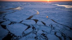 Bilim insanlarından kritik uyarı: Bering Denizi son 5 bin 500 yılın en düşük seviyesinde